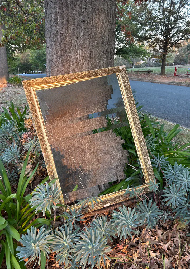 The image is a photo of a large tree growing on a surburban street, with an ornate gold frame leaning against its trunk. The image of the tree trunk inside the frame has been manipulated to make it look distorted, contrasting with the rest of the photo, which has not been edited in any way.